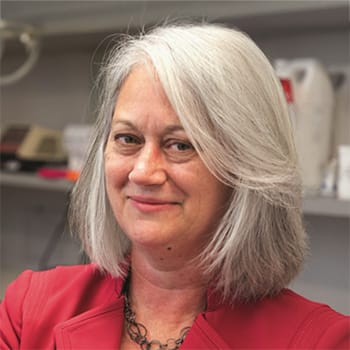 Tracy Stockley